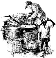 Looking for Food in Garbage.tif