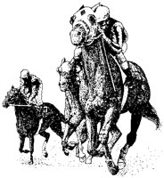 Race Horses on Track.tif