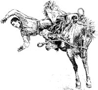 Bronco Riding.tif