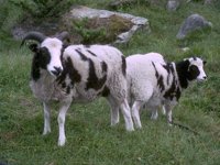 B06C0004.JPG