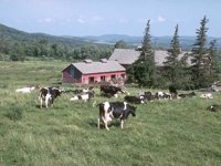 B06C0079.JPG