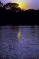 G04B0005.JPG