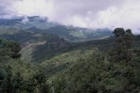 G04B0008.JPG
