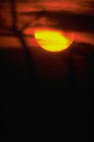 G04B0025.JPG
