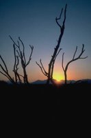G04B0047.JPG