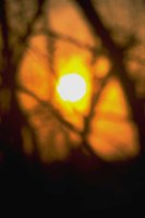 G04B0048.JPG
