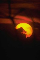 G04B0056.JPG