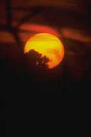 G04B0059.JPG