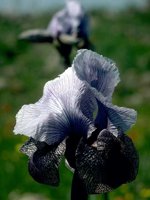 D03A0003.JPG