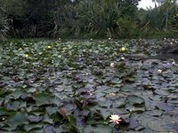 D03A0009.JPG