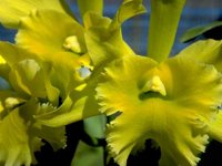 D03A0021.JPG