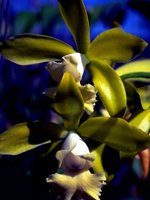D03A0023.JPG