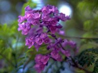 D03A0028.JPG