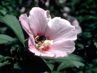 D03A0029.JPG
