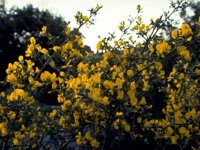 D03A0042.JPG