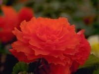 D03A0048.JPG