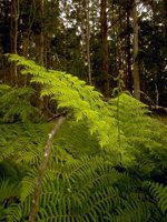 D03A0071.JPG