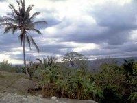 D03A0075.JPG