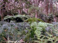 D03A0077.JPG