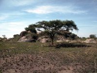 D03A0082.JPG