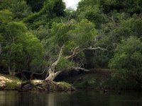 D03A0087.JPG