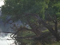 D03A0088.JPG