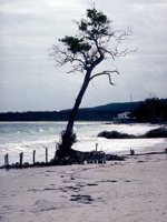 D03A0090.JPG
