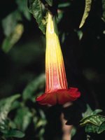D04B0009.JPG