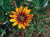 D04B0030.JPG