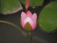 D04B0038.JPG