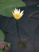 D04B0039.JPG