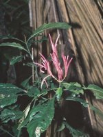 D04B0049.JPG