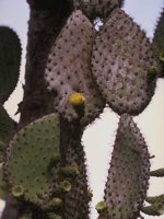 D04B0088.JPG