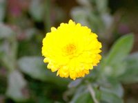 D05B0011.JPG