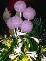 D05B0028.JPG