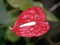 D05B0030.JPG