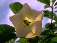 D05B0047.JPG