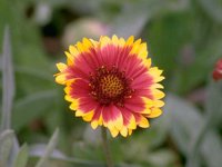 D05B0051.JPG