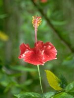 D05B0053.JPG
