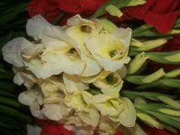 D05B0063.JPG