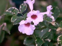 D05B0073.JPG