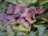D05B0086.JPG