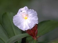 D05B0095.JPG