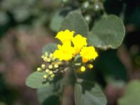 D05B0100.JPG