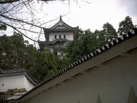 F01I0041.JPG