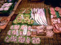 F01I0088.JPG