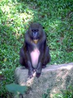 B03B0092.JPG