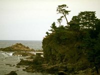 F04I0011.JPG