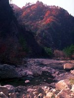 F04I0084.JPG