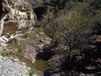G08L0008.JPG